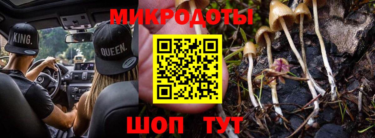 Сургут  Галлюциногенные грибы Psilocybine cubensis  Вход с VPN 